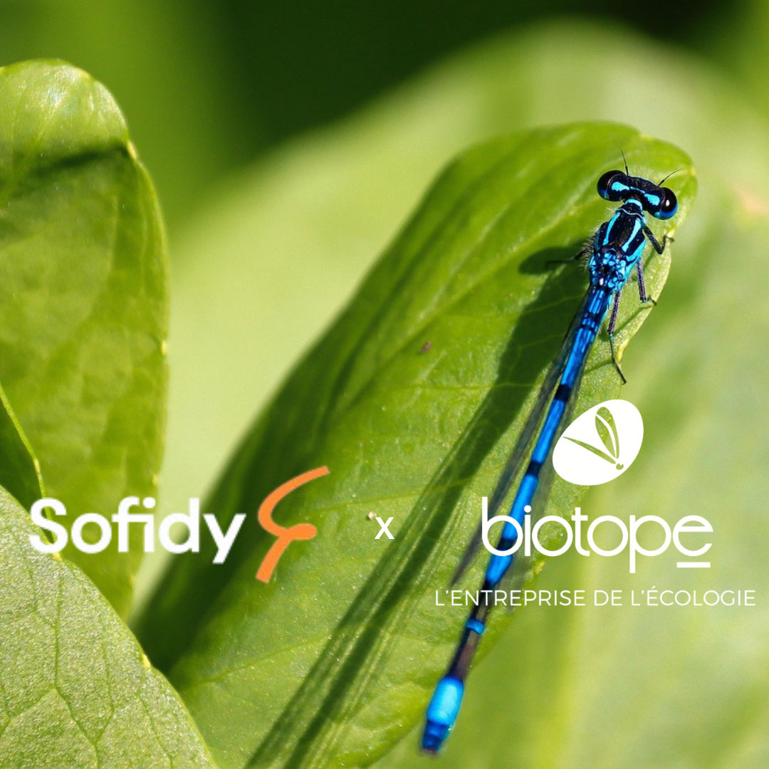 Quand la renégociation de bail devient une nouvelle opportunité !