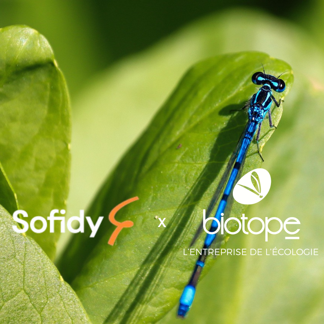 Quand la renégociation de bail devient une nouvelle opportunité !